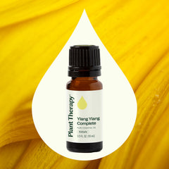 Plant Therapy Ylang Ylang Complete oil dropper ready for precise usage.