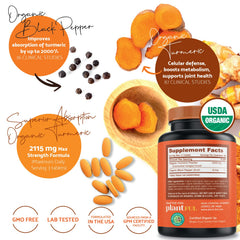 PLANTFUL RESEARCH Organic turmeric powder with certification signals purity.