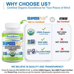 Ingredient panel on Power By Naturals SeaMoss Plus packaging with bladderwrack and burdock root