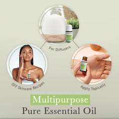 Pranarom sandalwood skincare-application scene for soothing daily care.