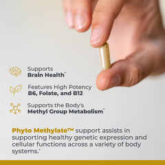 Premier Research Labs Phyto Methylate ingredients card detailing 5-MTHF and P5P.