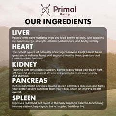 Primal Being Beef Organs Spleen bottle highlights 600mg spleen per serving for resilience.