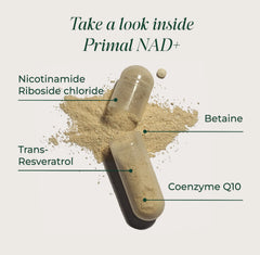 Primal Harvest NAD capsules close-up showing two-capsule daily dose to support cellular energy