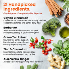 PrimeMD green tea extract capsules provide refreshing daytime focus.