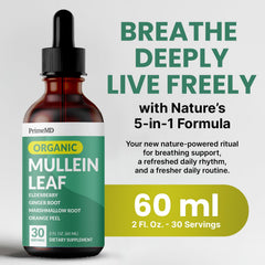 PrimeMD Mullein Drops dropper showing convenient 2 ml dosing.