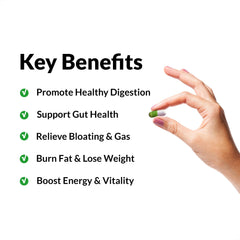 ProbioSlim capsules close-up emphasizing easy-to-take capsules for daily wellness