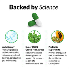 ProbioSlim label ingredients highlighting LactoSpore and green tea for energy