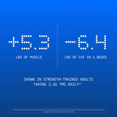 ProHealth Longevity TMG gift-pack image emphasizing holiday wellness gift idea.