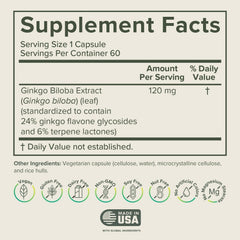Prominent Nutrition Ginkgo Biloba bottle and packaging on a clean surface.