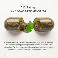 Prominent Nutrition Ginkgo Biloba capsules arranged on a table for daily use.