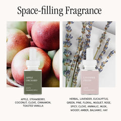 Pura Apple Orchards scent refill releasing crisp fruity notes for a refreshing atmosphere.