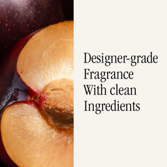 Pura Unify Noel scent collection display highlighting versatile fragrance options