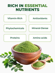 PURA VIDA MORINGA leaves close-up reveals vibrant, nutrient-dense powder for daily vitality.