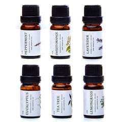 Pure Aroma Essential Oils Set diffuser-ready display enhances room ambiance