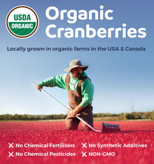 Non GMO cranberry capsules shown in clean packaging