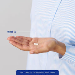 Pure Encapsulations zinc capsules arranged on a white background for daily wellness.