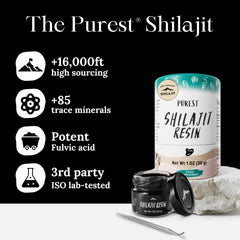 Spoon of Pure Himalayan Shilajit resin for easy pea-sized dosing