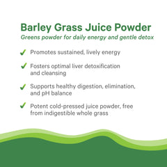 PURE SYNERGY Barley Grass Juice Powder in a green smoothie showing vibrant greens.
