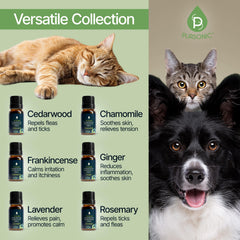 Pursonic lavender bottle provides gentle soothing aromas for dogs and cats.