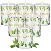 PVUELE sage candle 6-pack for energy cleansing and calm ambience.
