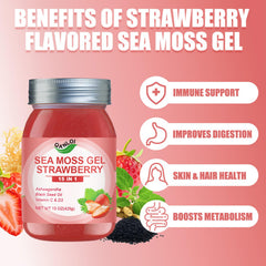 QANLOI ashwagandha sea moss bottle highlights 15-in-1 ingredients for overall wellness.