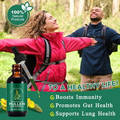 QJCWXIAOX Mullein Leaf Extract label highlighting natural ingredients.