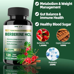 Qmiozzy liposomal berberine capsules pack showcases a convenient two capsule daily serving