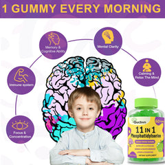 Qucbvn bacopa-monnieri extract close-up on ingredients label