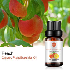 Rainbow Abby Aceite de durazno con aroma fresco para difusor en casa.
