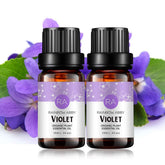 Rainbow Abby Violet essential oil bottle 2-pack for diffuser aromas and calm ambiance.
