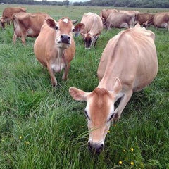 Raw Organic Whey grass-fed label emphasizes organic, non-GMO, hormone-free benefits