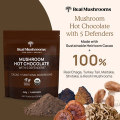 Real Mushrooms hot chocolate cup steaming for cozy evenings