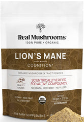 Real Mushrooms Lions Mane extract powder tub for organic daily wellness.