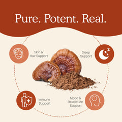 Real Mushrooms Reishi powder in tea cup evokes calming ritual.