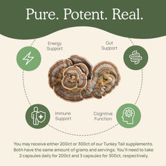 Real Mushrooms Turkey Tail capsules pouring, easy to add to meals