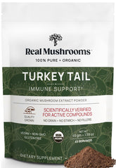 Real Mushrooms Turkey Tail powder bottle for daily wellness.