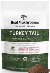 Real Mushrooms Turkey Tail powder bottle for daily wellness.