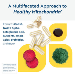 Researched Nutritionals ATP Fuel label highlighting non-GMO, allergen-friendly formulation.
