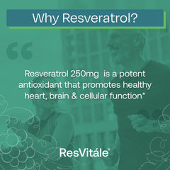 ResVitale veggie capsules close-up showing plant-based daily wellness.