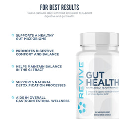 Illustration of the gut with herbal components for Revive MD Gut Health
