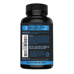 Revive Herbs Bacillus subtilis DE111 graphic representing resilient probiotic for gut health.