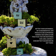 Rif Care biodegradable sugar-based backing keeps you dry and eco-conscious