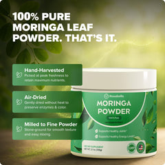 Hojas de Rosabella Moringa cosechadas a mano para nutrición diaria.