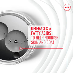 Royal Canin Skin & Coat chews designed as a complement to Royal Canin diets.