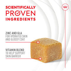 Royal Canin Skin & Coat chews support healthy skin with omega-3 and omega-6 nutrients.
