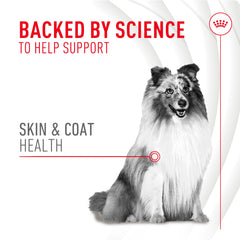 Vitamin blend in Royal Canin chews helps maintain the skin barrier.
