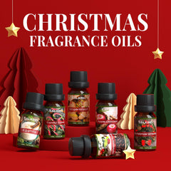 SALKING Apple cinnamon fragrance oil ideal for home diffusers and seasonal warmth.