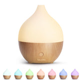 SALKING Essential Oil Diffuser compact design for desk aromatherapy and easy portability.