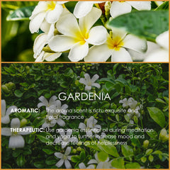 SALKING Gardenia essential oil candle drops to enhance homemade candles.