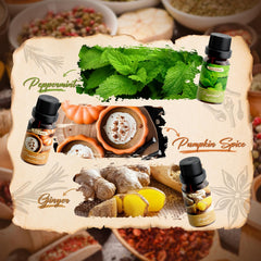 SALKING pumpkin spice oil bottle evokes cozy autumn ambiance.